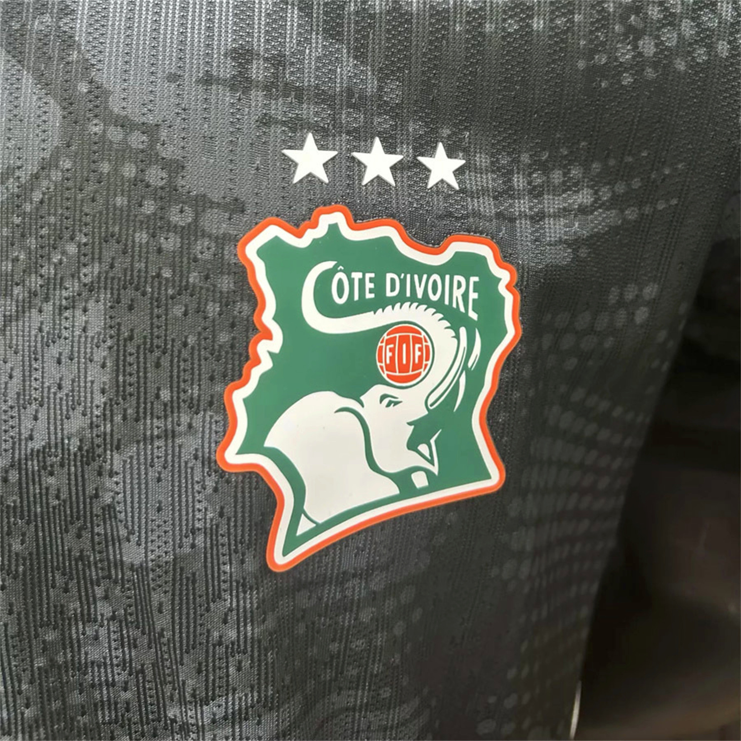 AlphaJersey-Ivory Coast 25-26 Goalkeeper Black Jersey - Player Version