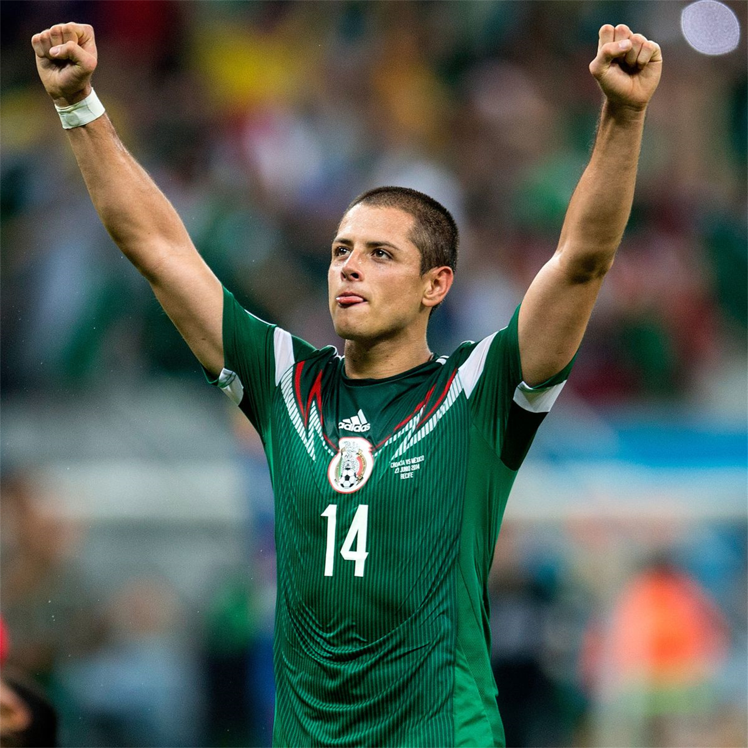 AlphaJersey-Retro Mexico 2014 Home Jersey