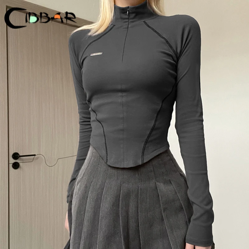 CIBBAR Techwear Fall Zip Up Long Sleeve Crop Top Women Casual Striped Print Skinny T Shirt y2k Vintage Grey Tees 2000s Harajuku