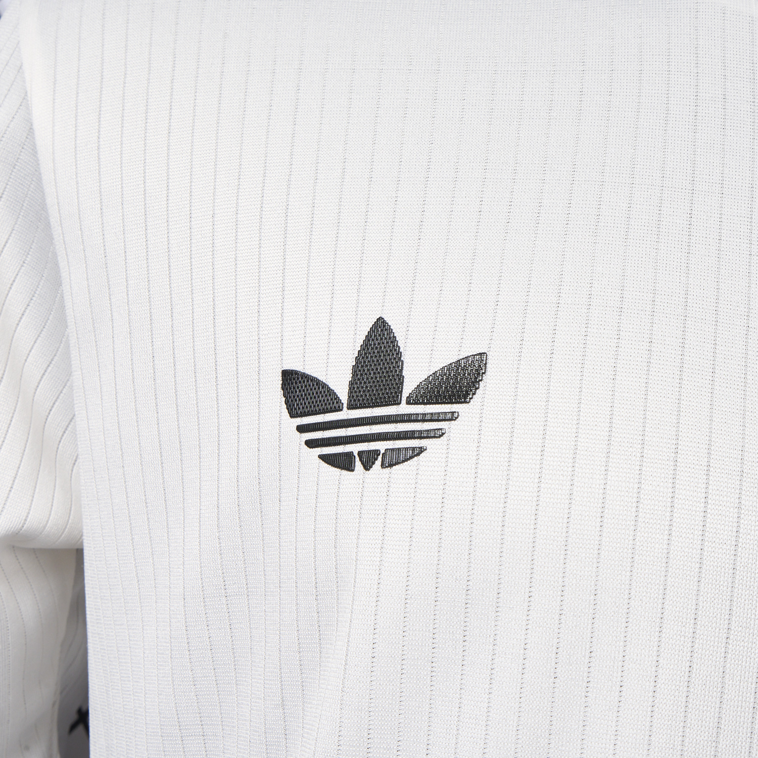 AlphaJersey-Germany 2025 125-Year Anniversary Commemorative Edition Long Sleeve Jersey - Player Version