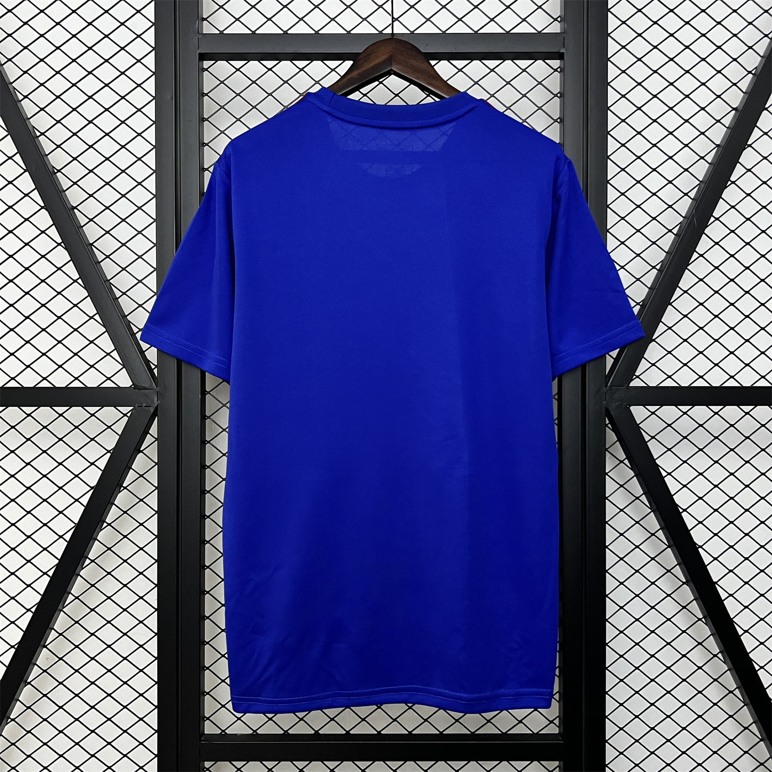 AlphaJersey-Japan 2024 Blue Dargon Special Edition Jersey - Fans Version