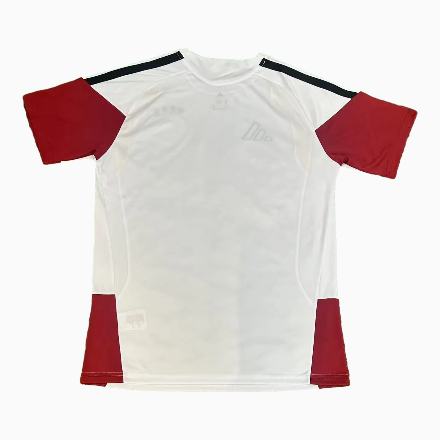 AlphaJersey-Germany 2026 White Pre-Match Training Jersey - Fans Version