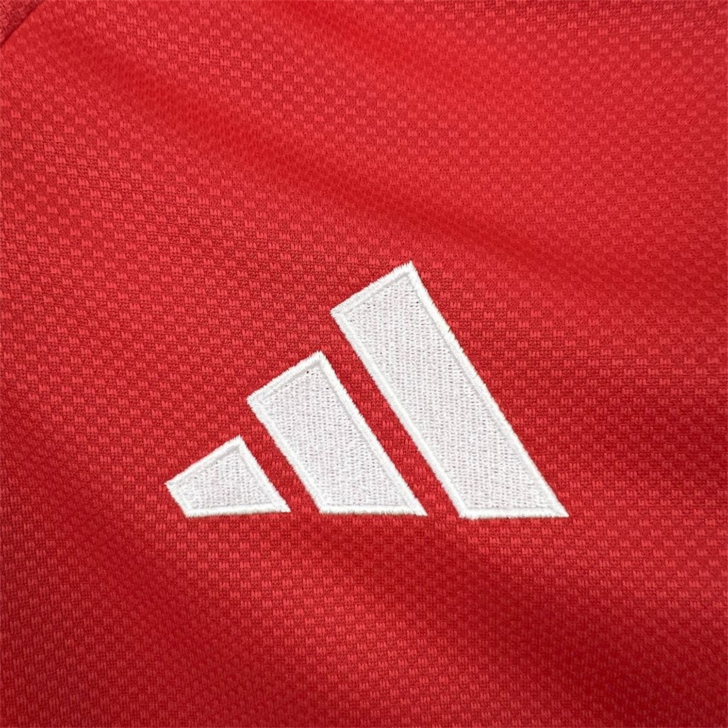 AlphaJersey-Benfica 25-26 Home Long Sleeves Jersey - Fans Version
