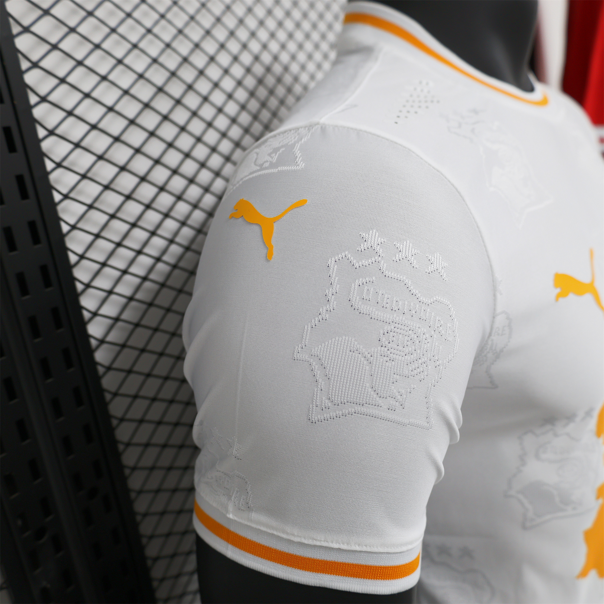 AlphaJersey-Ivory Coast 2024 White Special Edition Jersey - Player Version