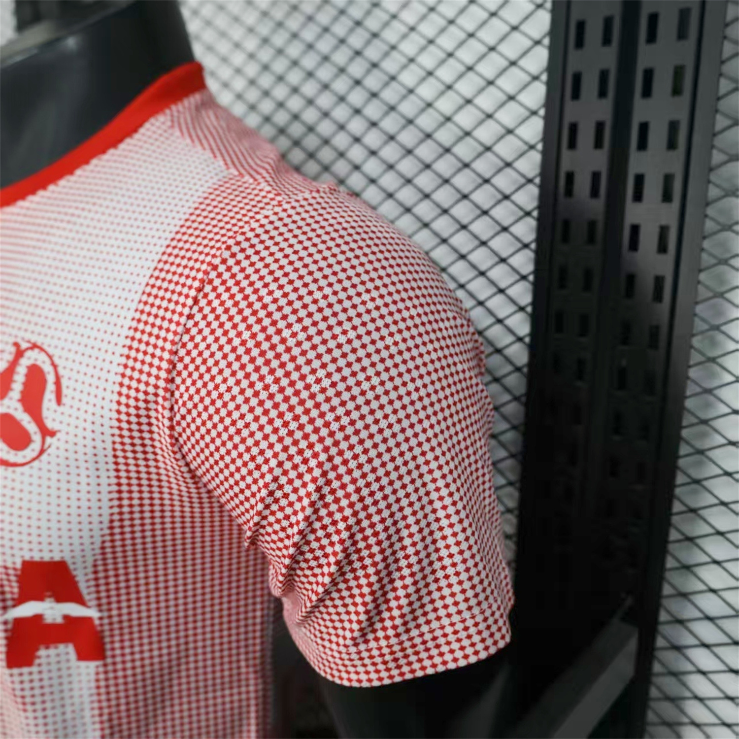 AlphaJersey-Canada 25-26 World Cup Promotion Red Jersey - Player Version
