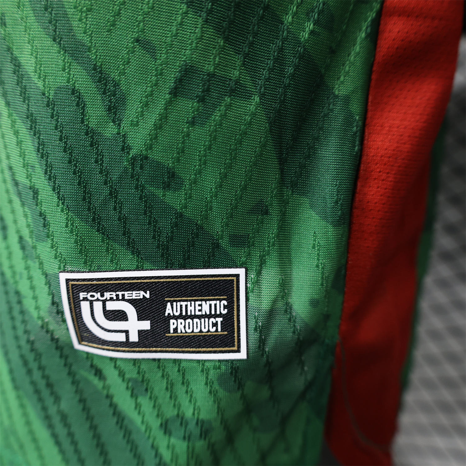 AlphaJersey-Cameroon 25-26 Home Jersey - Player Version