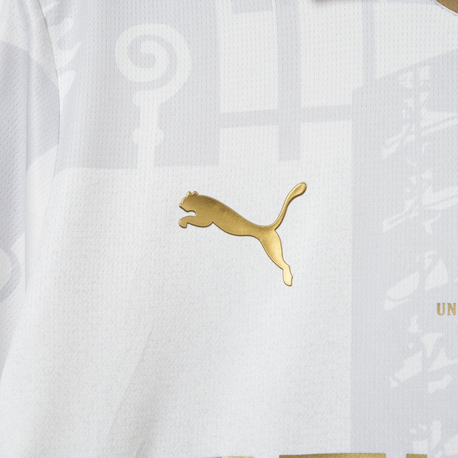 AlphaJersey-Borussia Mönchengladbach 25-26 125-Year Anniversary Jersey - Fans Version