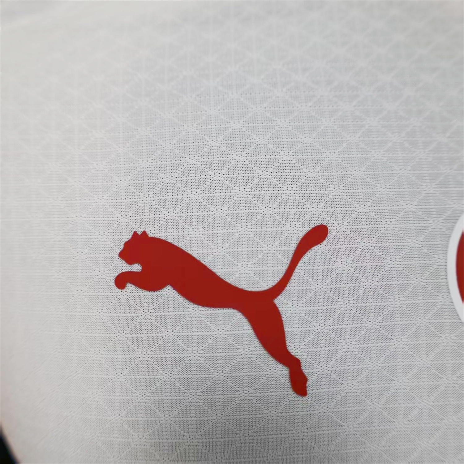 AlphaJersey-Galatasaray 25-26 Away Jersey With Five Stars - Player Version