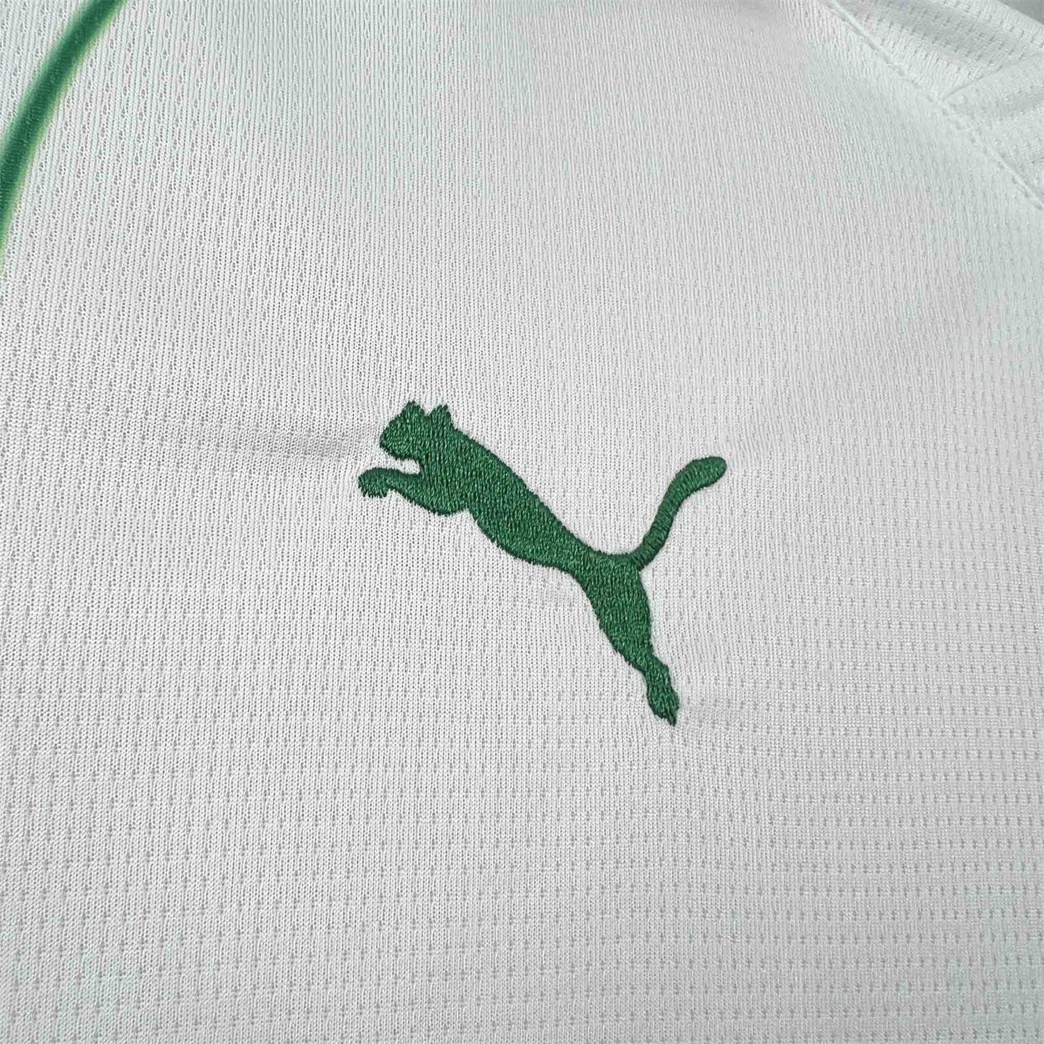 AlphaJersey-Women's Palmeiras 25-26 Away Jersey