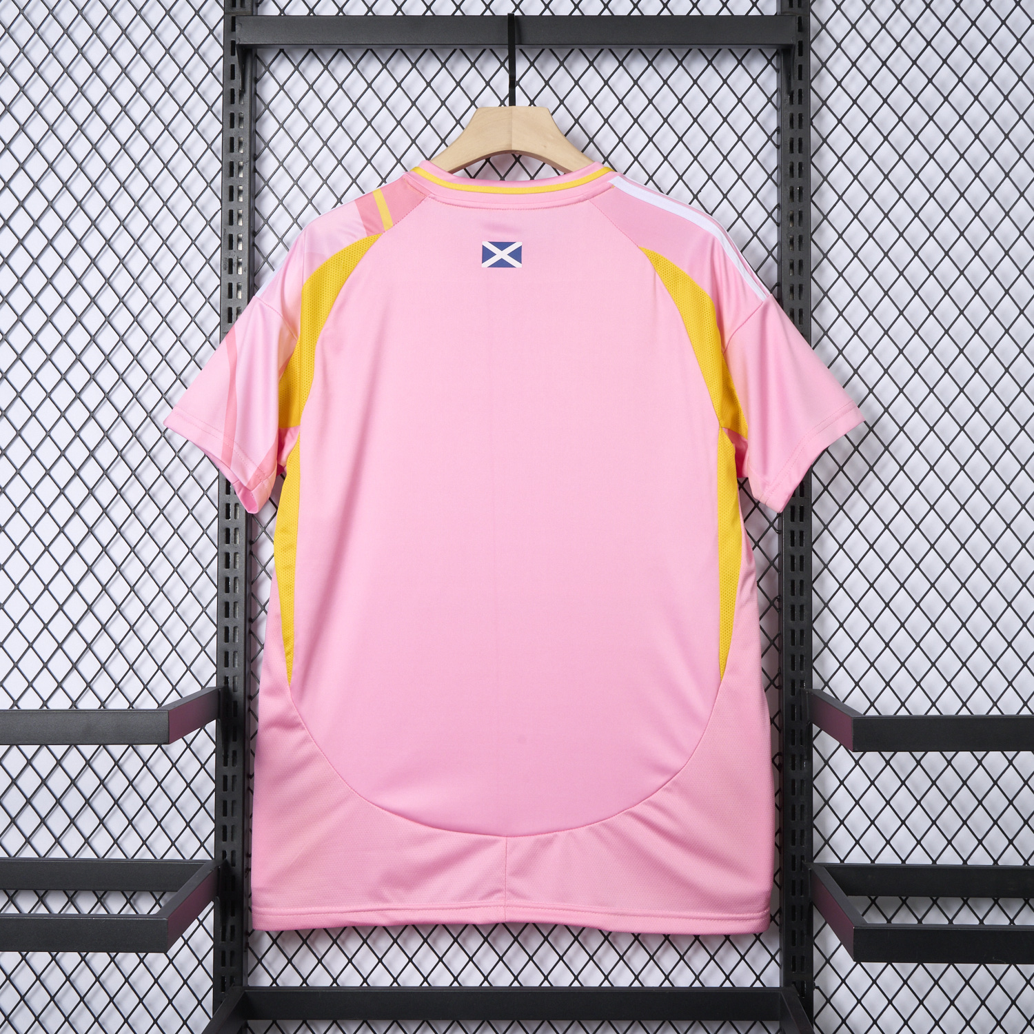 AlphaJersey-S-c-o.t l.a-n.d 2025 Women's Team Away Jersey - Men's Fans Version