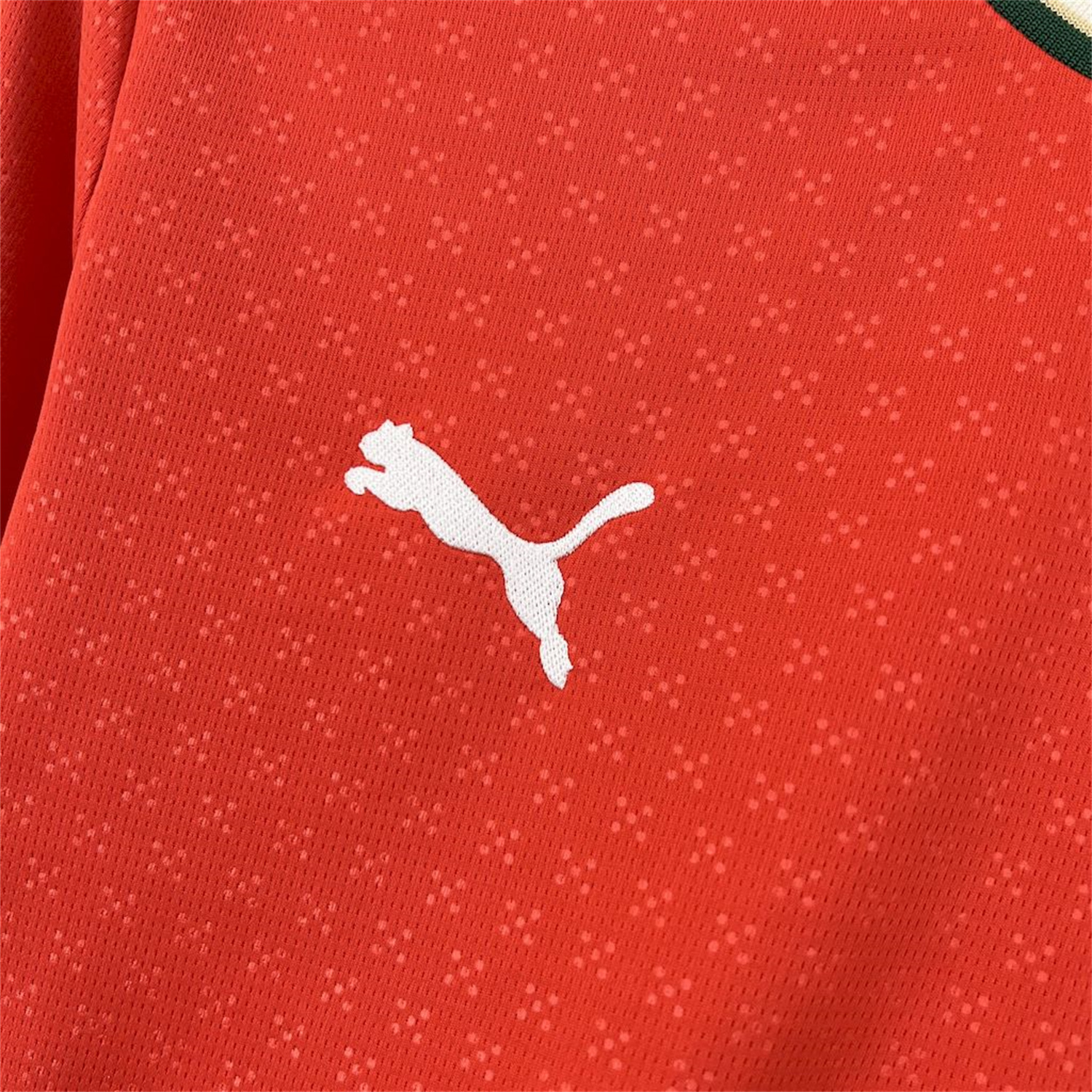 AlphaJersey-Portugal 2025-26 Home Long Sleeve Jersey - Fans Version