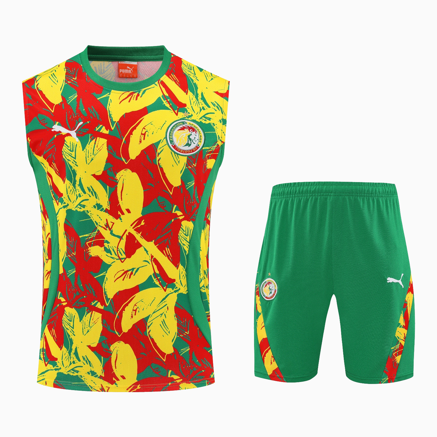 AlphaJersey-Senegal 2026 Vest Training Set - Variegated Vest and Green Shorts