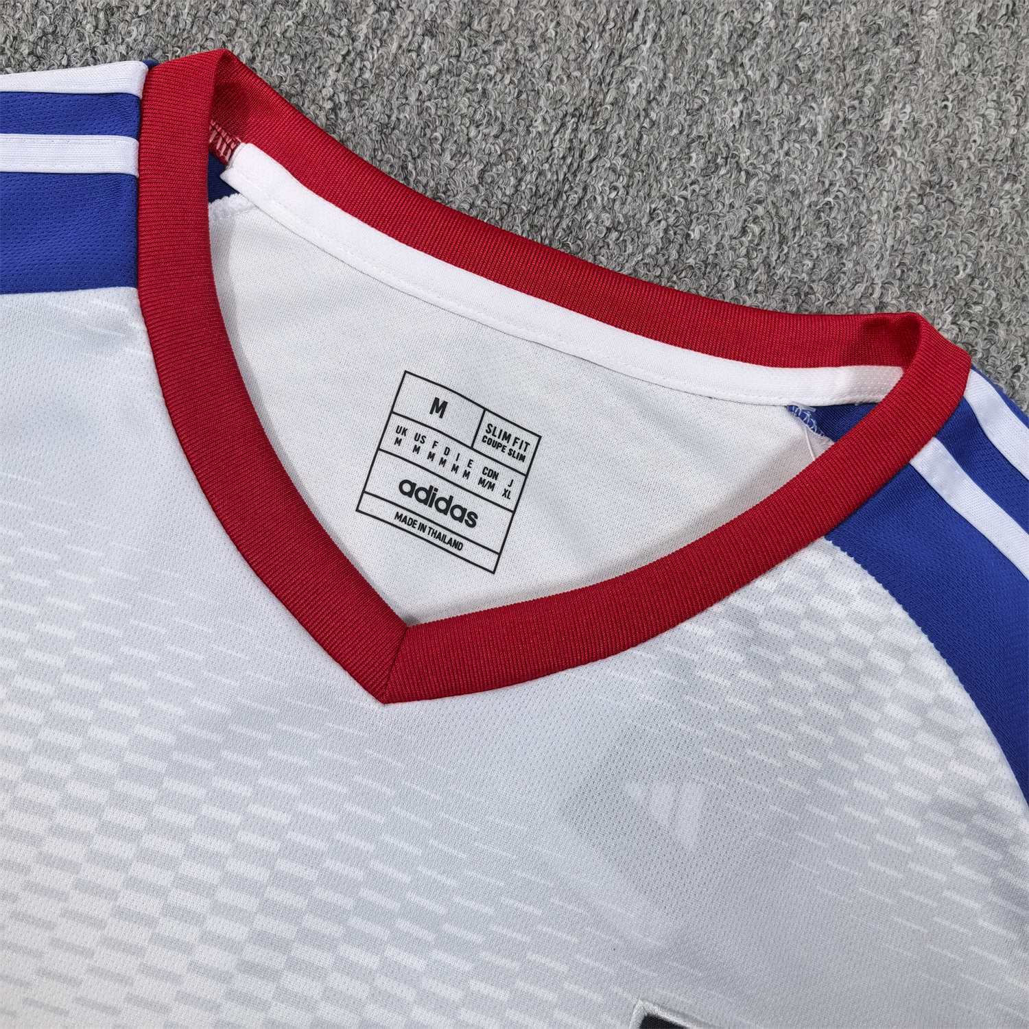 AlphaJersey-Japan 25-26 Sun And Fuji Mountain Jersey - Fans Version