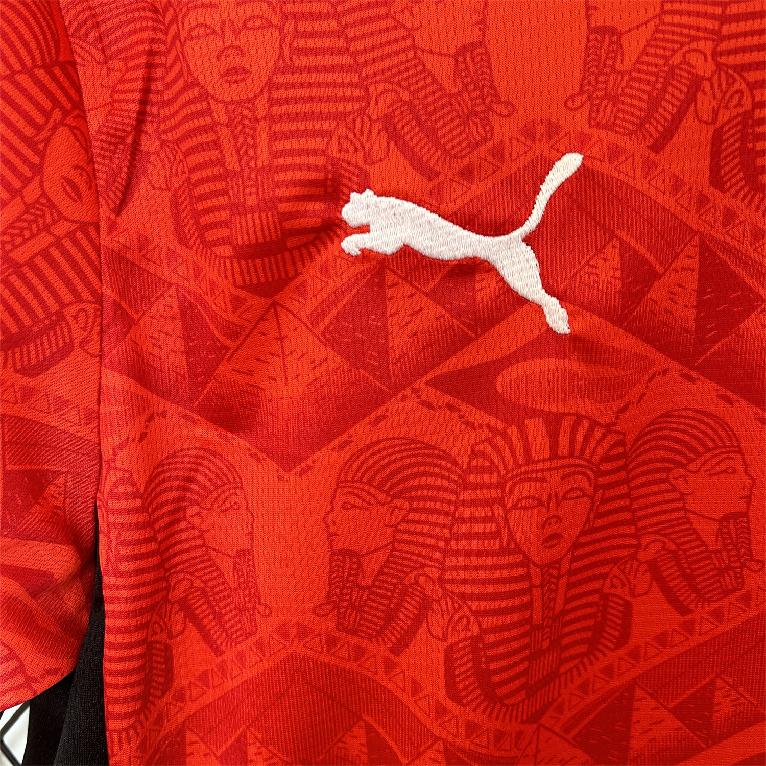 AlphaJersey-Egypt 25-26 Home Jersey - Fans Version