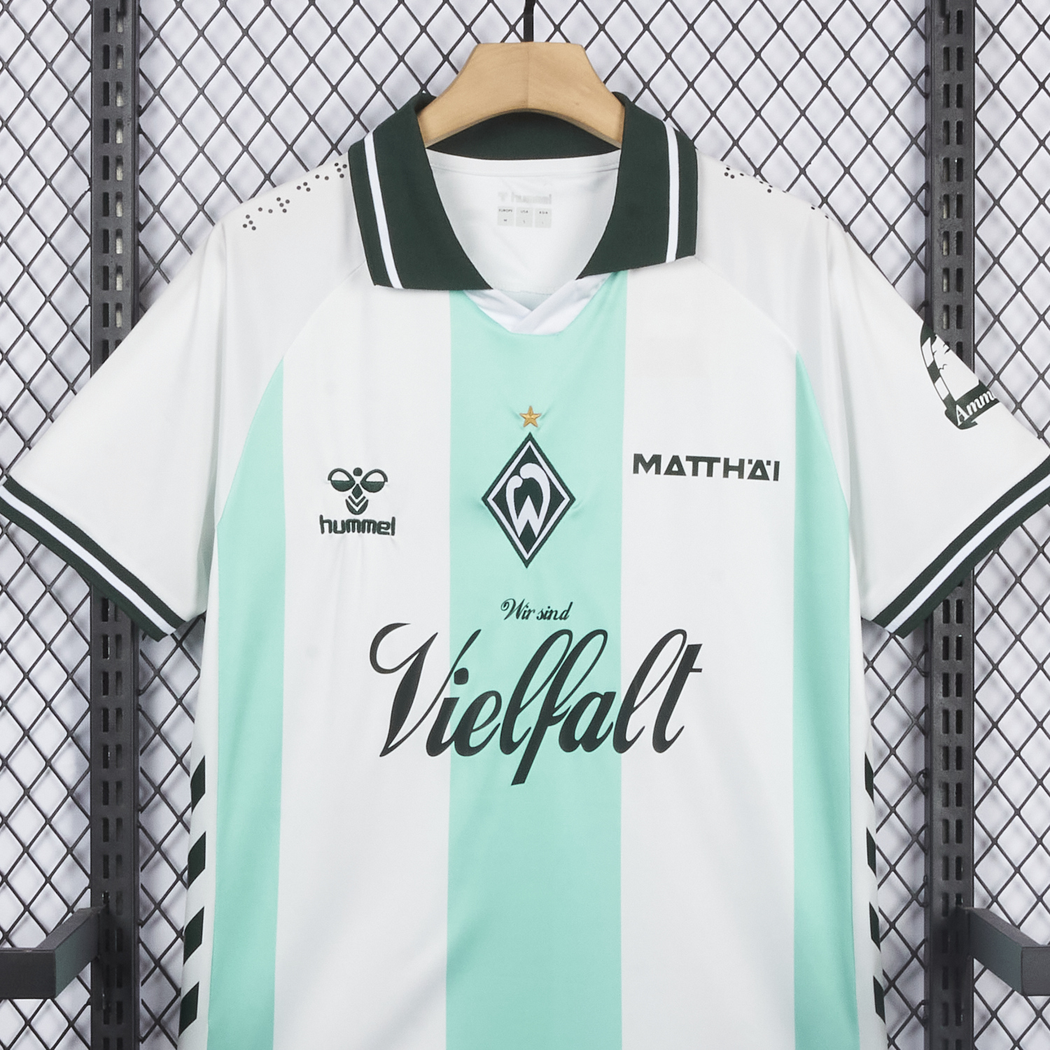 AlphaJersey-Werder Bremen 25-26 Green And White Special Jersey - Fans Version