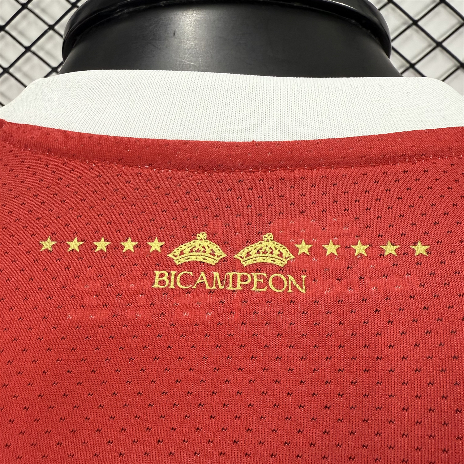 AlphaJersey-【The Double Winners】Toluca 25-26 Red Special Jersey - Player Version