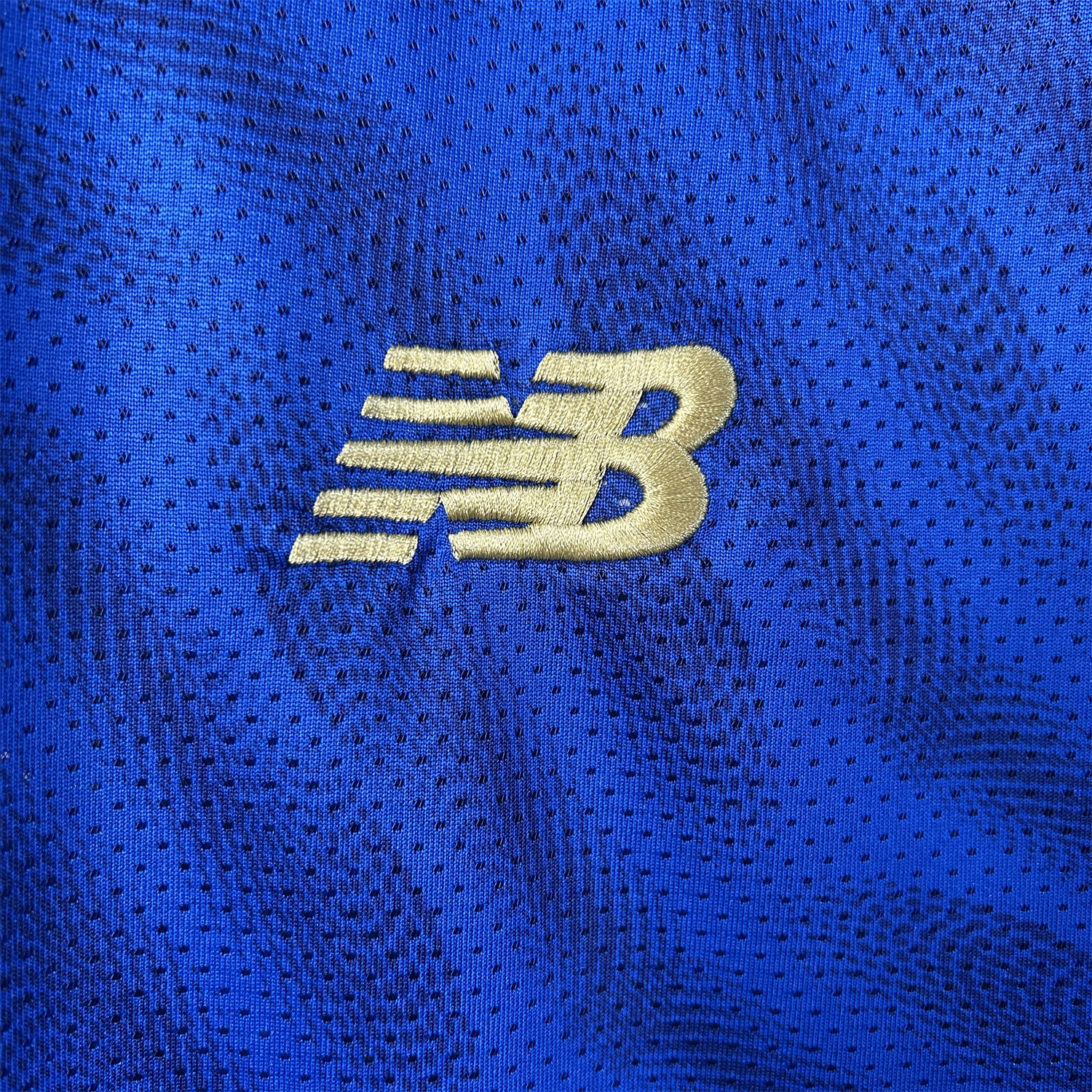 AlphaJersey-Porto 25-26 Blue Pre-Match Training Jersey - Fans Version
