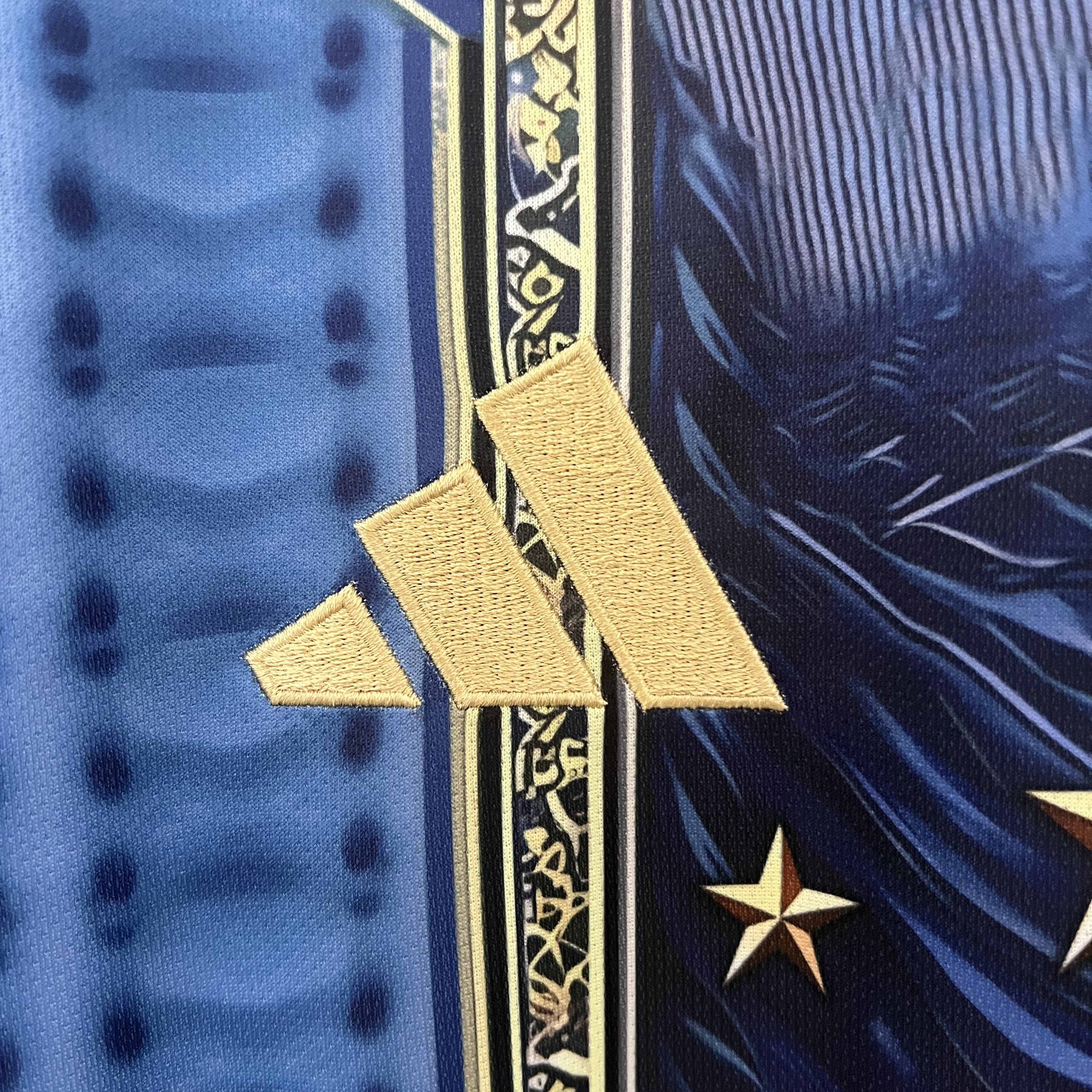 AlphaJersey-Italy 2024 Blue Mural Special Edition Jersey - Fans Version
