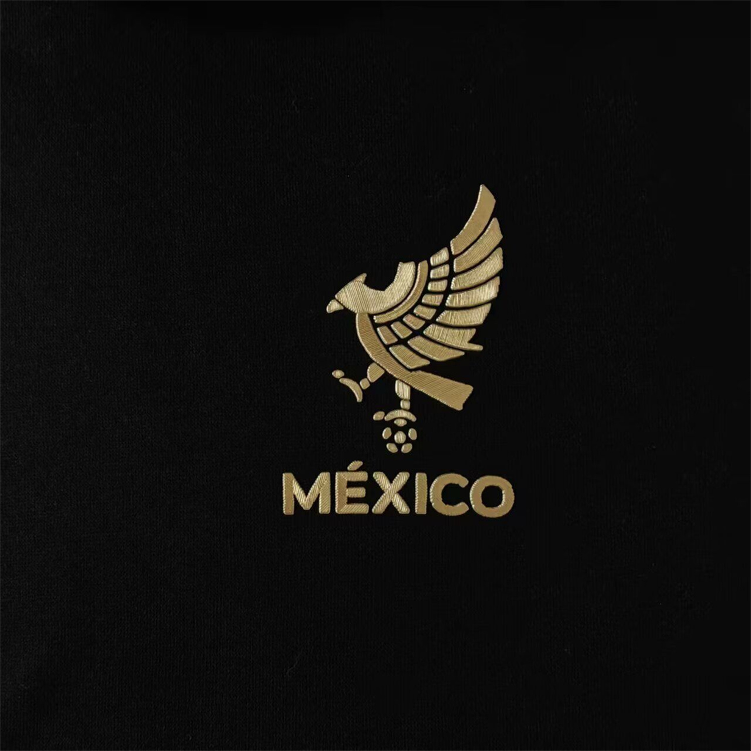 AlphaJersey-Mexico 2025 Gold Cup Black Special Edition Unisex Pullover Hoodie