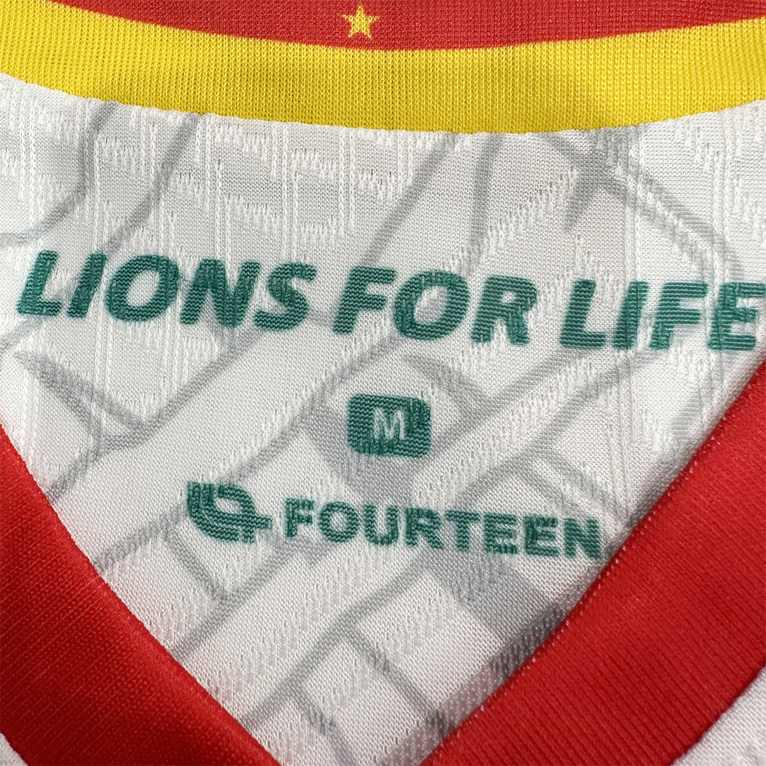 AlphaJersey-Cameroon 25-26 Third Jersey - Player Version