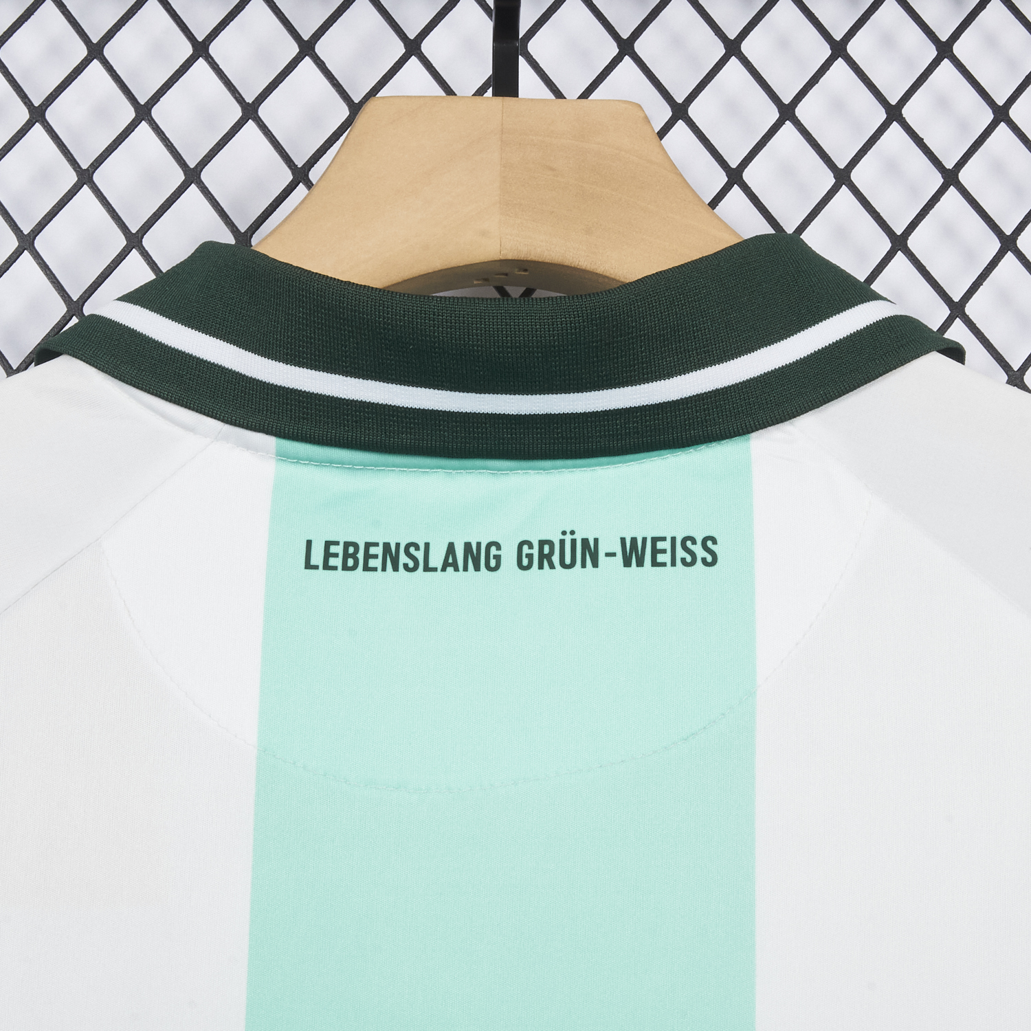 AlphaJersey-Werder Bremen 25-26 Green And White Special Jersey - Fans Version