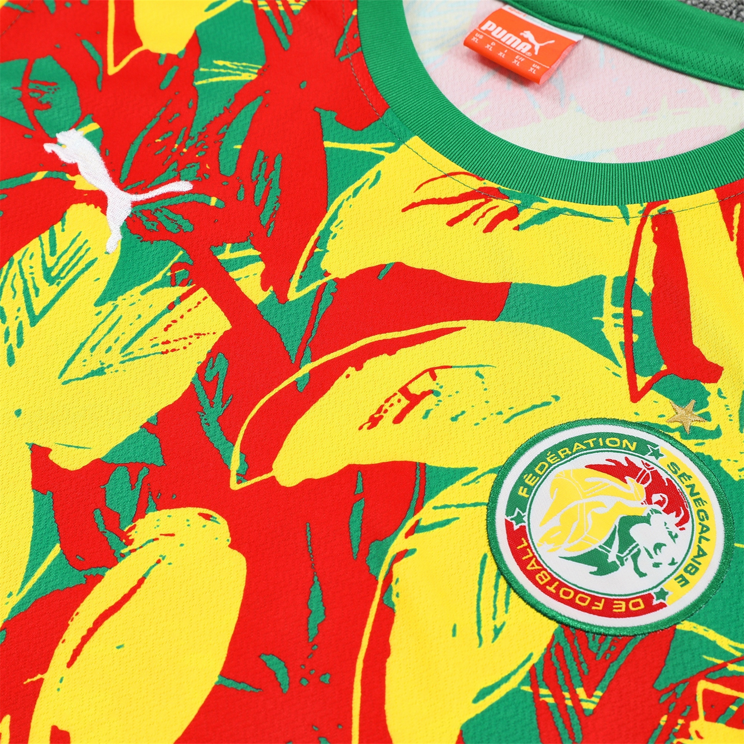 AlphaJersey-Senegal 2026 Vest Training Set - Variegated Vest and Green Shorts