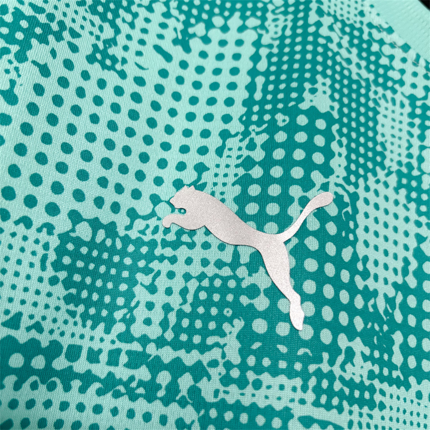 AlphaJersey-Palmeiras 26-27 Mint Green Training Jersey - Fans Version