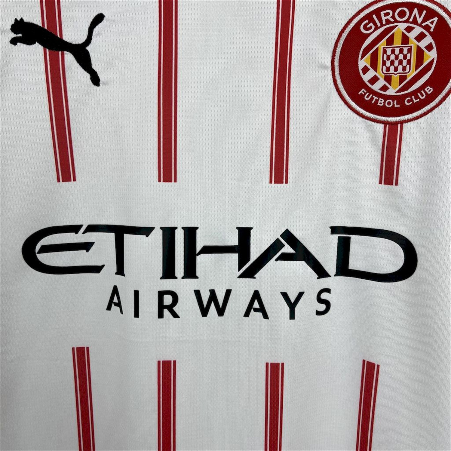 AlphaJersey-Girona 25-26 Home Jersey - Fans Version