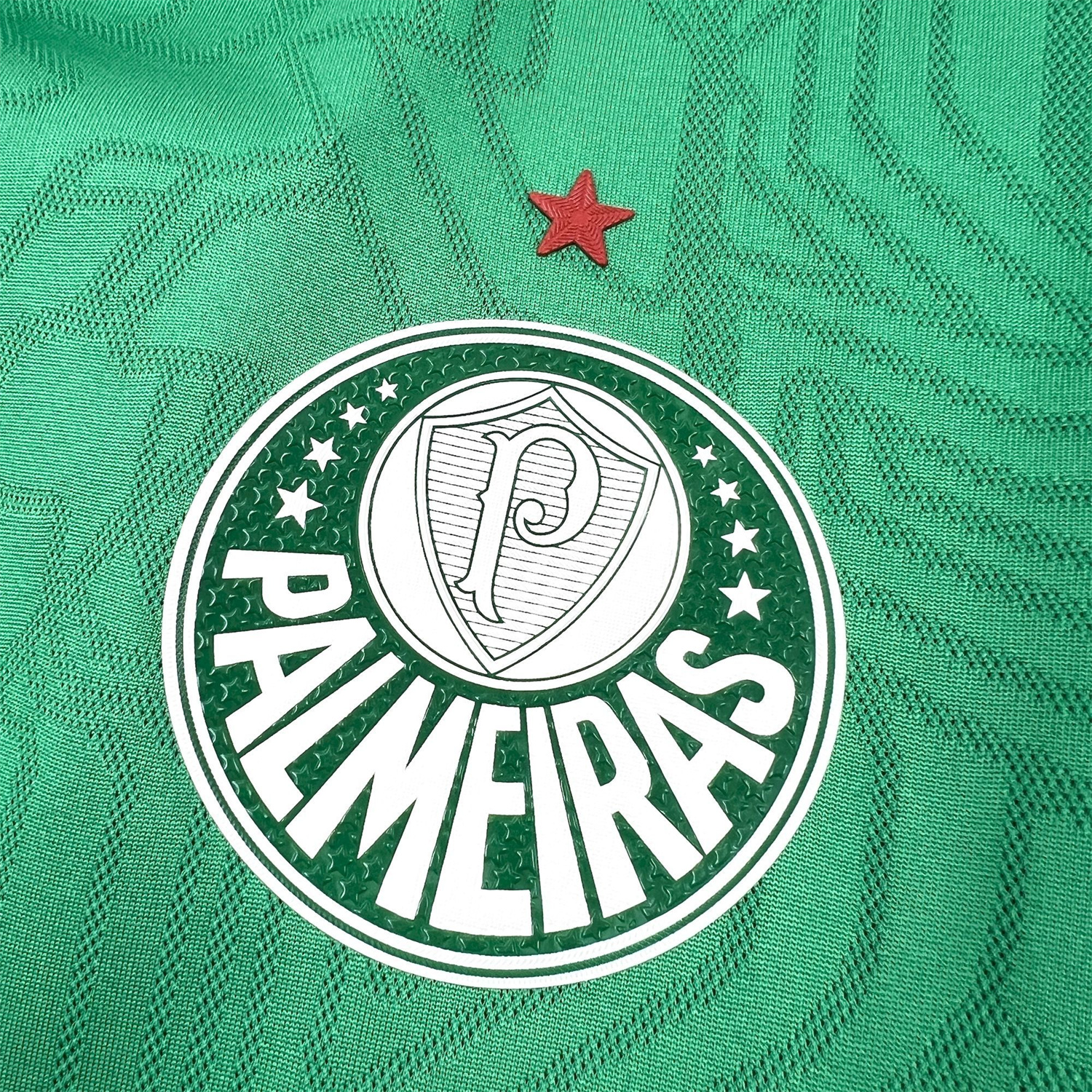 AlphaJersey-Palmeiras 25-26 Green Training Jersey - Fans Version