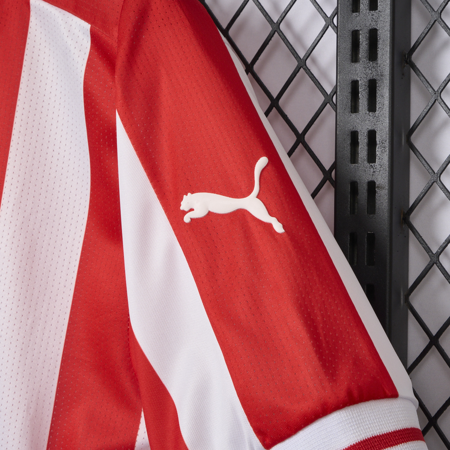 AlphaJersey-Retro Chivas de Guadalajara 2016-17 110-Years Anniversary Jersey