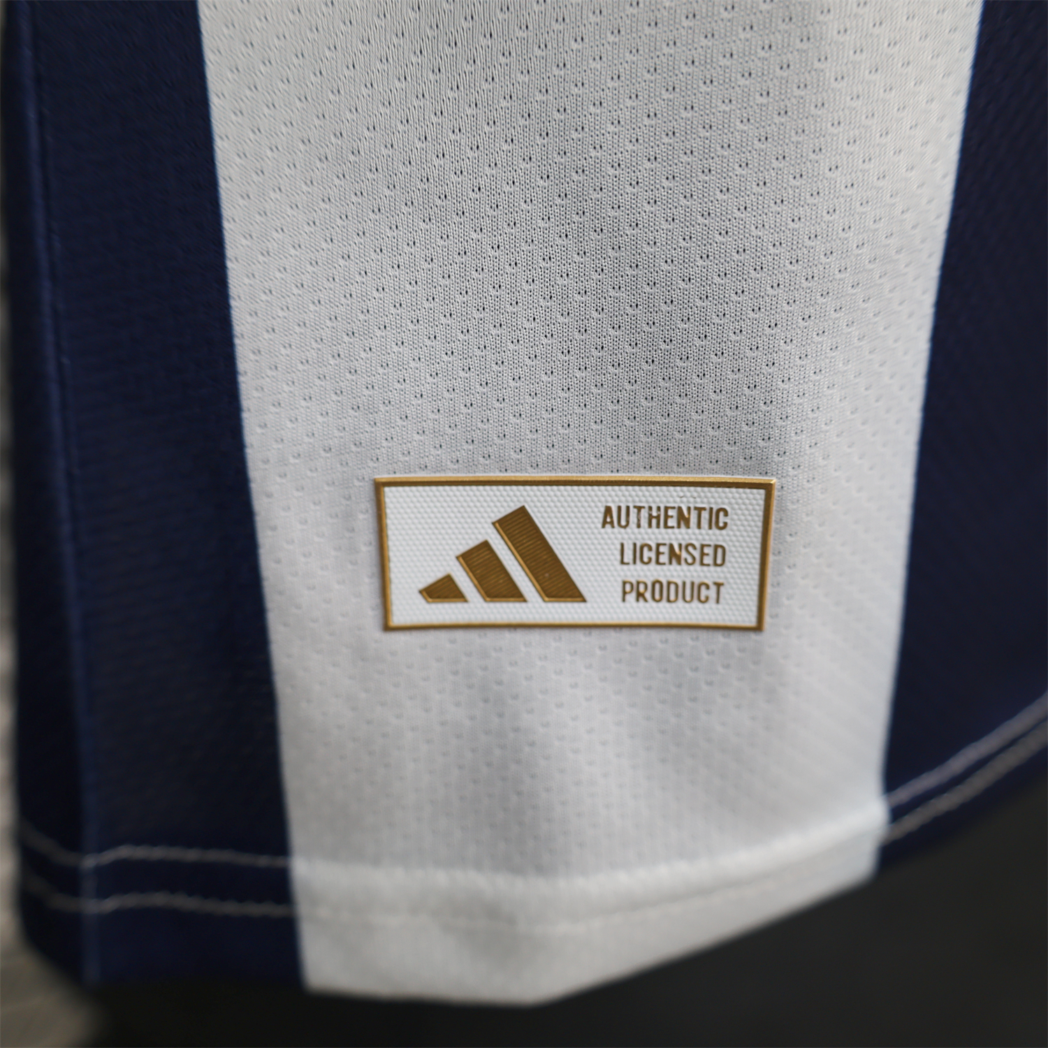 AlphaJersey-Wales 2026 Blue And White Special Jersey - Player Version