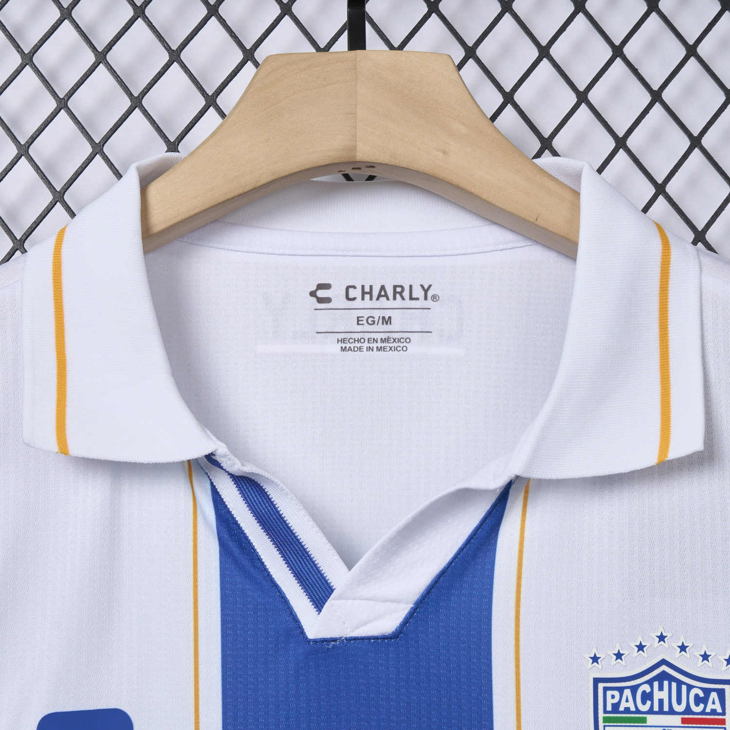 AlphaJersey-Pachuca 25-26 Home Jersey - Fans Version