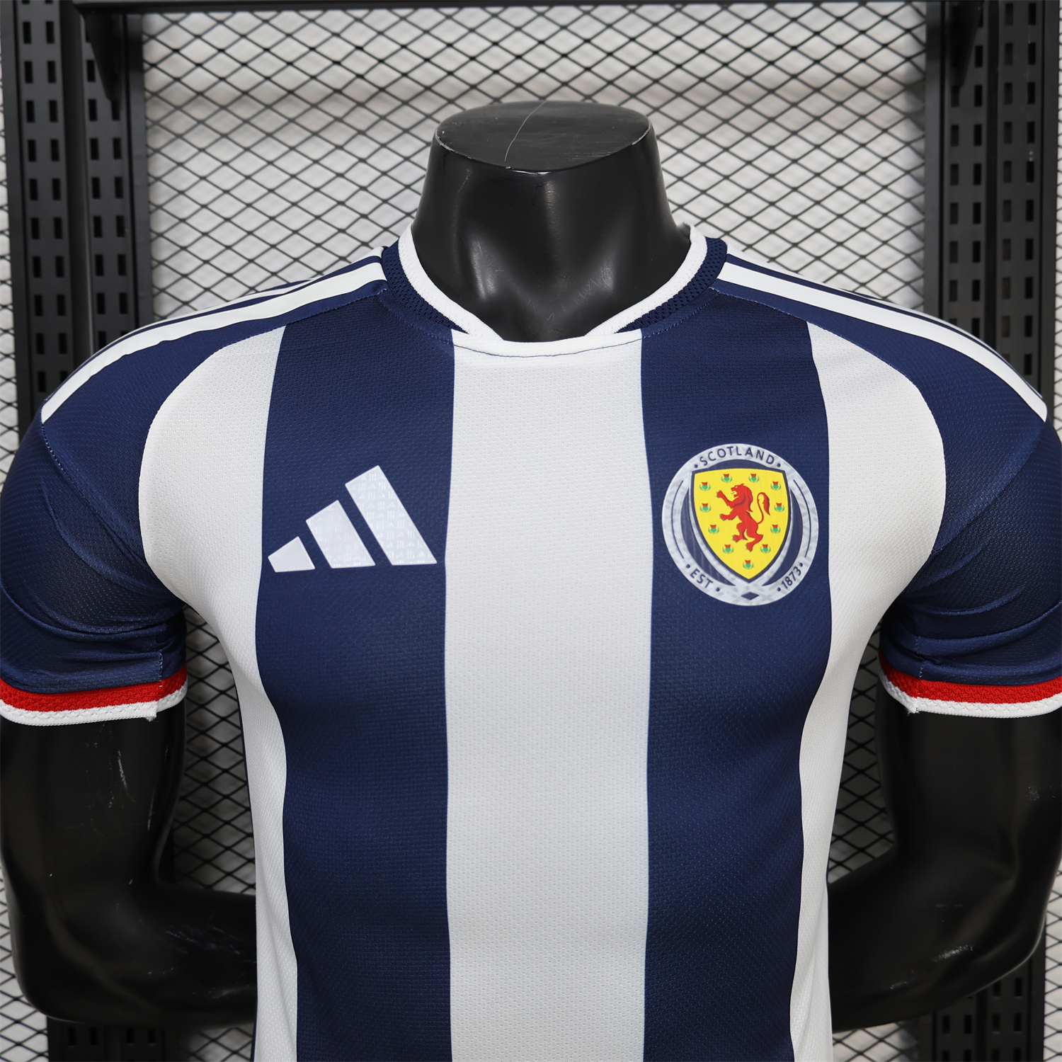 AlphaJersey-Wales 2026 Blue And White Special Jersey - Player Version