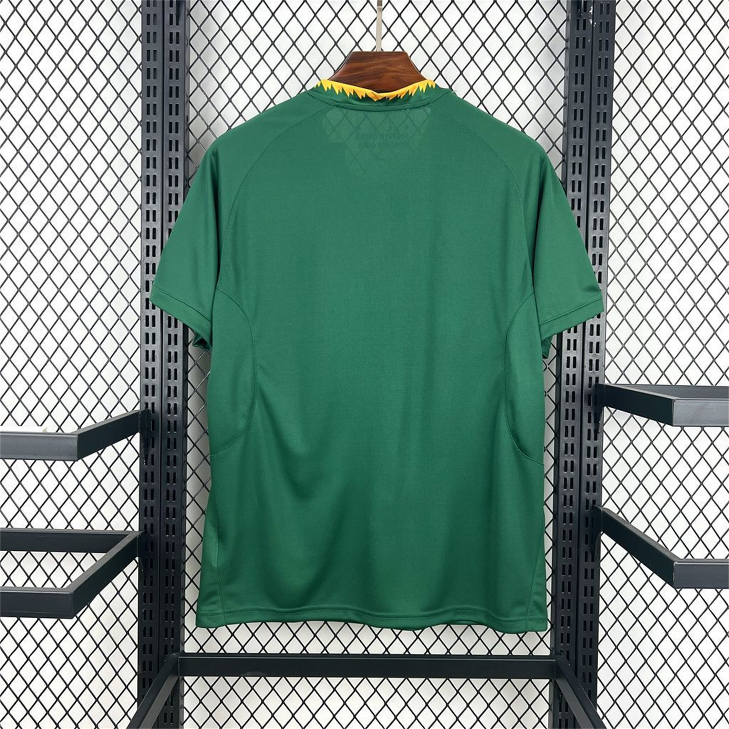 AlphaJersey-South Africa 2026 Green Special Jersey - Fans Version