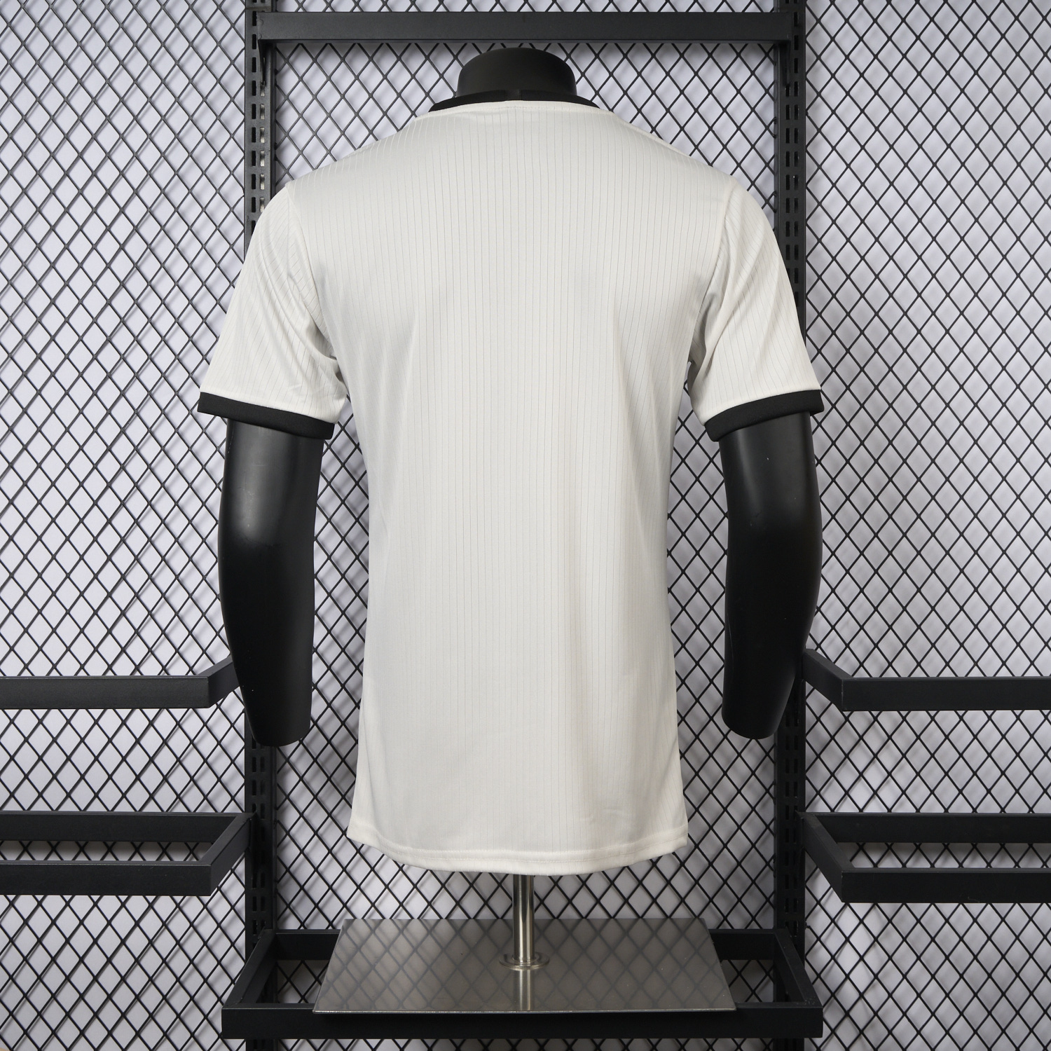 AlphaJersey-Germany 2025 125-Year Anniversary Big Eagle Jersey - Player Version