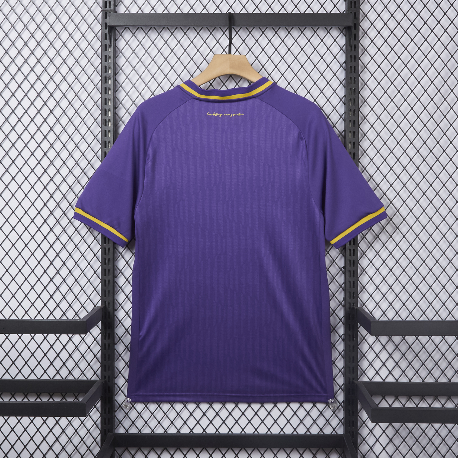 AlphaJersey-Deportes Concepción 25-26 60th Anniversary Edition Jersey - Fans Version