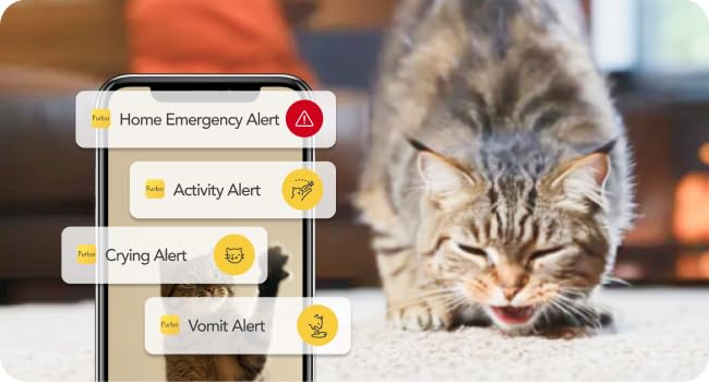 Know the unexpected with Furbo Cat Nanny