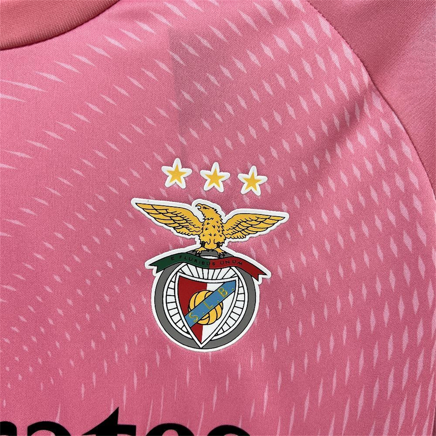 AlphaJersey-Benfica 25-26 Pink Goalkeeper Jersey - Fans Version