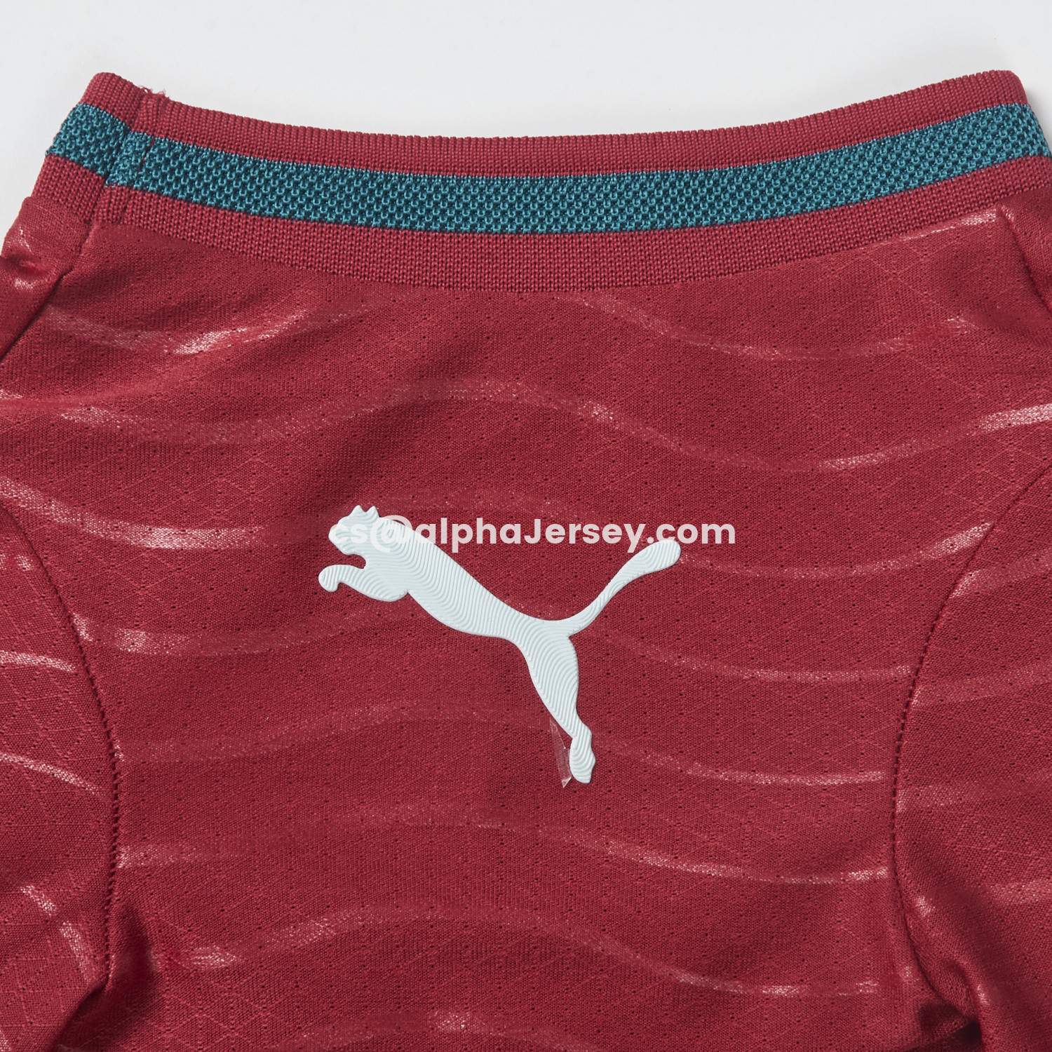 AJ-AlphaJersey-Portugal 2026 Home Pet Jersey - Player Version